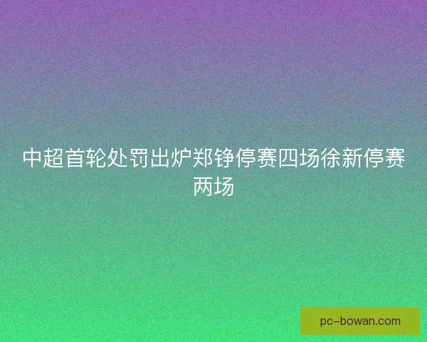 中超首轮处罚出炉郑铮停赛四场徐新停赛两场