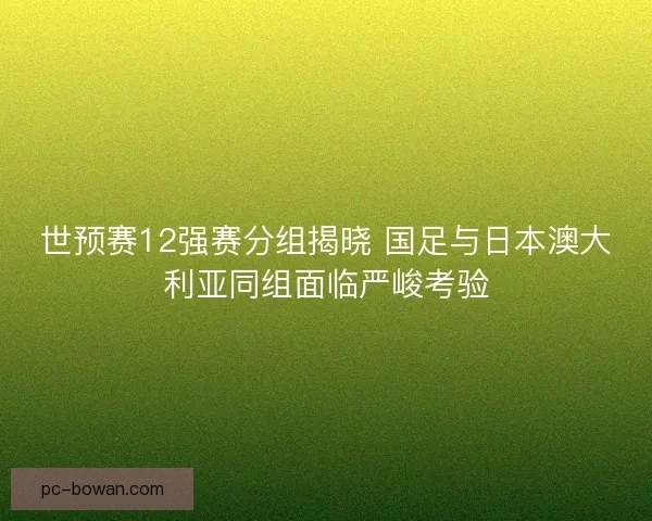世预赛12强赛分组揭晓 国足与日本澳大利亚同组面临严峻考验 世预赛12强赛分组揭晓 国足与日本澳大利亚同组面临严峻考验